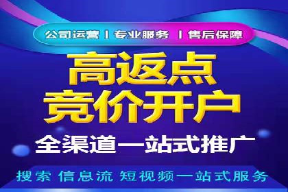 SEM推广优化策略：实战案例分析
